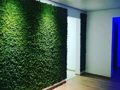 Studio Garden - Proiectare, amenajare si intretinere gradini