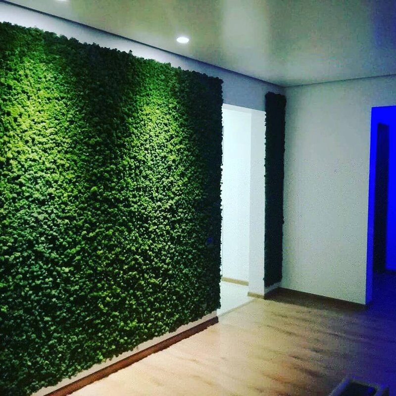 Studio Garden - Proiectare, amenajare si intretinere gradini