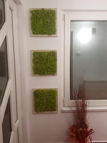 Studio Garden - Proiectare, amenajare si intretinere gradini