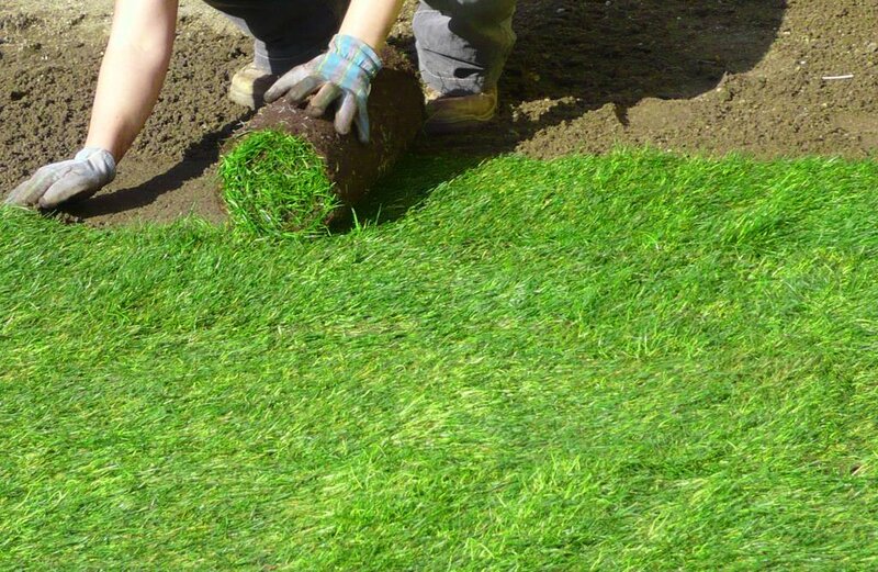 Studio Garden - Proiectare, amenajare si intretinere gradini