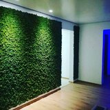 Studio Garden - Proiectare, amenajare si intretinere gradini